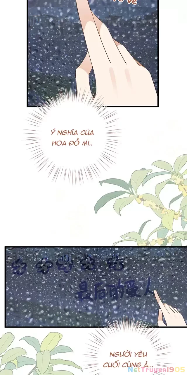 Bạch Nguyệt Quang Luôn Muốn Độc Chiếm Tôi Chapter 71 - 44