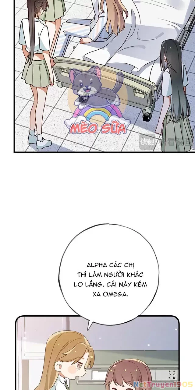 Bạch Nguyệt Quang Luôn Muốn Độc Chiếm Tôi Chapter 73 - 7