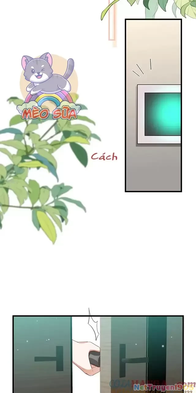 Bạch Nguyệt Quang Luôn Muốn Độc Chiếm Tôi Chapter 79 - 13