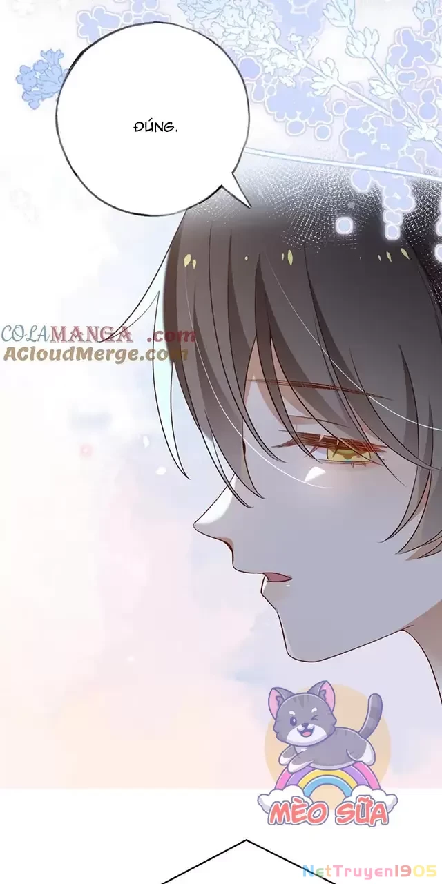 Bạch Nguyệt Quang Luôn Muốn Độc Chiếm Tôi Chapter 81 - 8