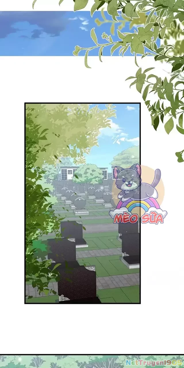 Bạch Nguyệt Quang Luôn Muốn Độc Chiếm Tôi Chapter 81 - 48