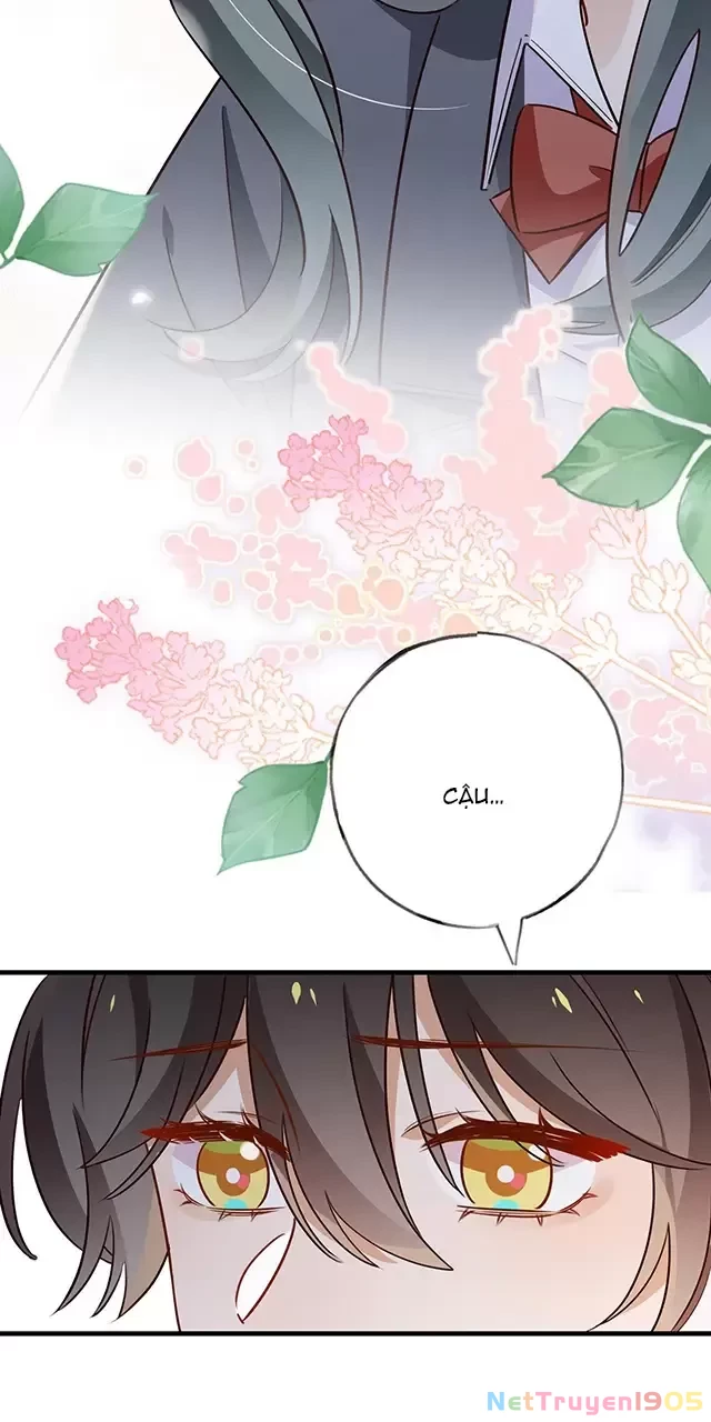 Bạch Nguyệt Quang Luôn Muốn Độc Chiếm Tôi Chapter 83 - 44