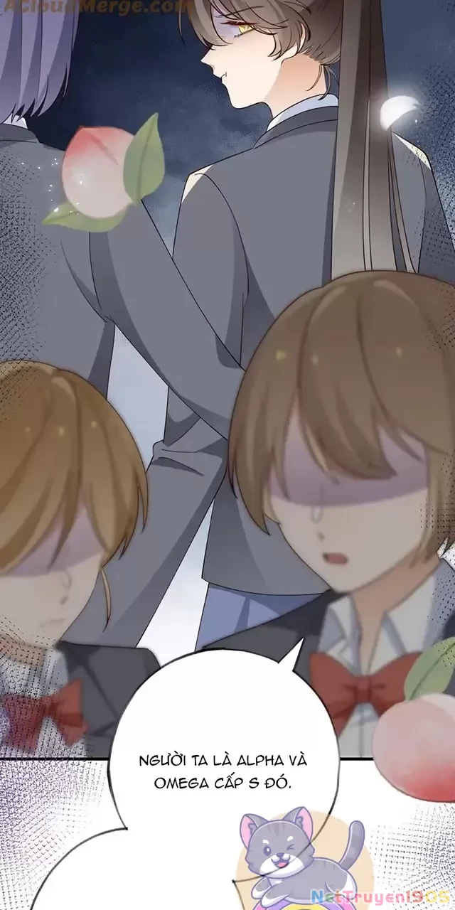 Bạch Nguyệt Quang Luôn Muốn Độc Chiếm Tôi Chapter 84 - 14