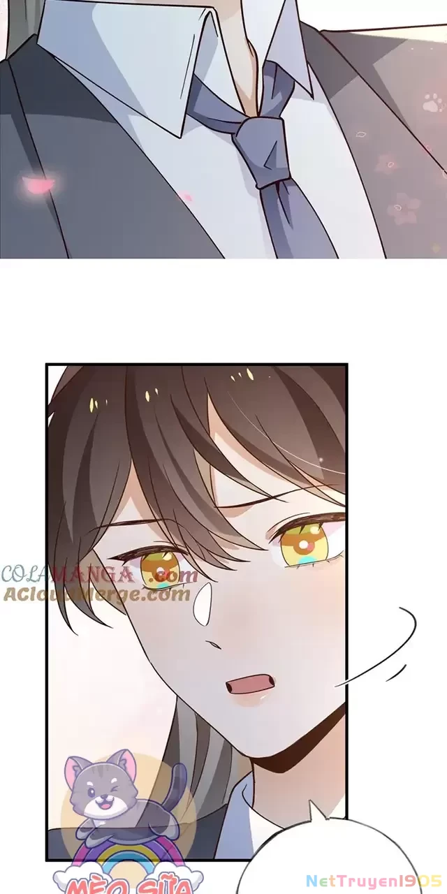 Bạch Nguyệt Quang Luôn Muốn Độc Chiếm Tôi Chapter 84 - 41