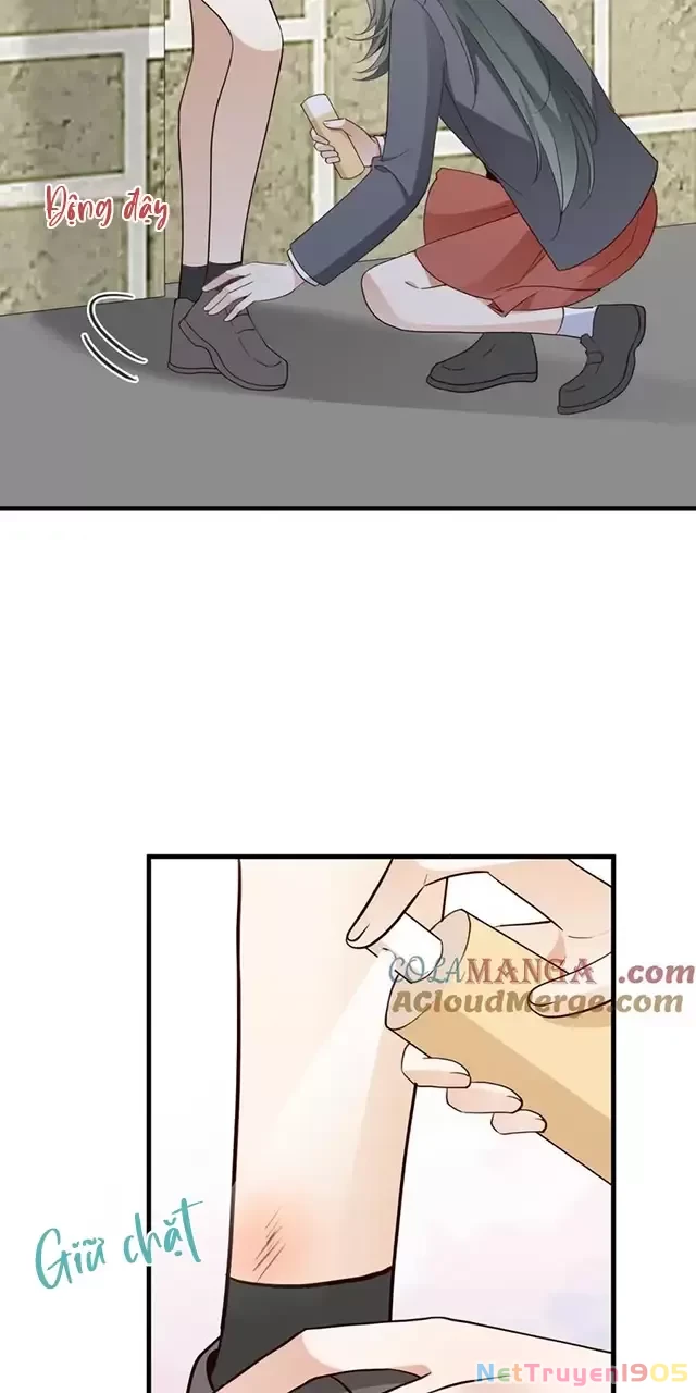 Bạch Nguyệt Quang Luôn Muốn Độc Chiếm Tôi Chapter 84 - 47