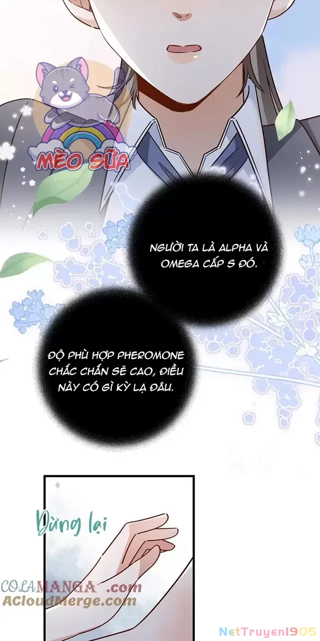 Bạch Nguyệt Quang Luôn Muốn Độc Chiếm Tôi Chapter 85 - 41