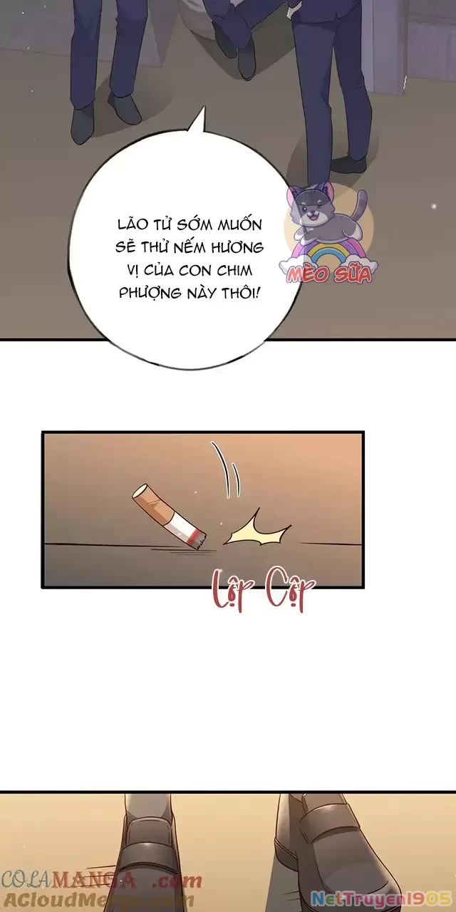 Bạch Nguyệt Quang Luôn Muốn Độc Chiếm Tôi Chapter 89 - 29