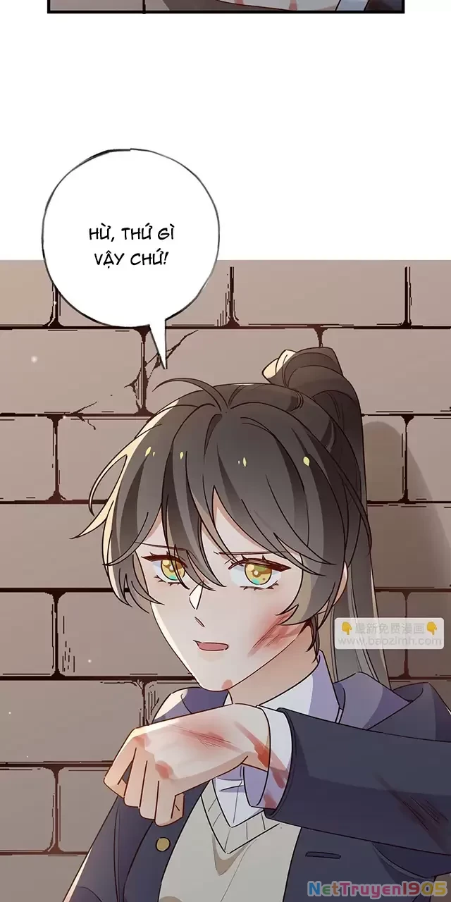 Bạch Nguyệt Quang Luôn Muốn Độc Chiếm Tôi Chapter 90 - 5