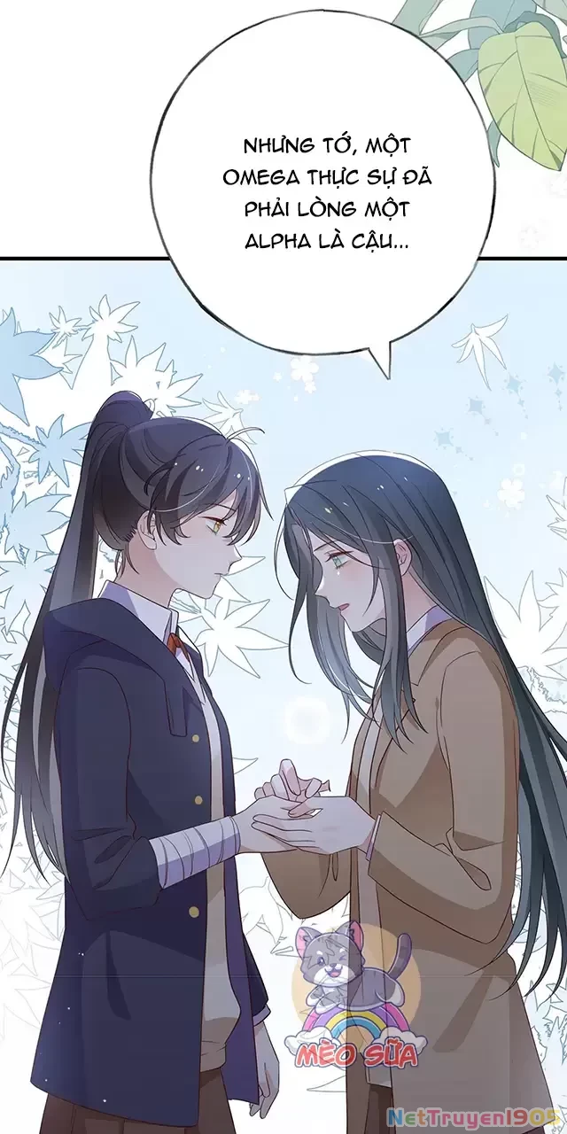 Bạch Nguyệt Quang Luôn Muốn Độc Chiếm Tôi Chapter 91 - 46