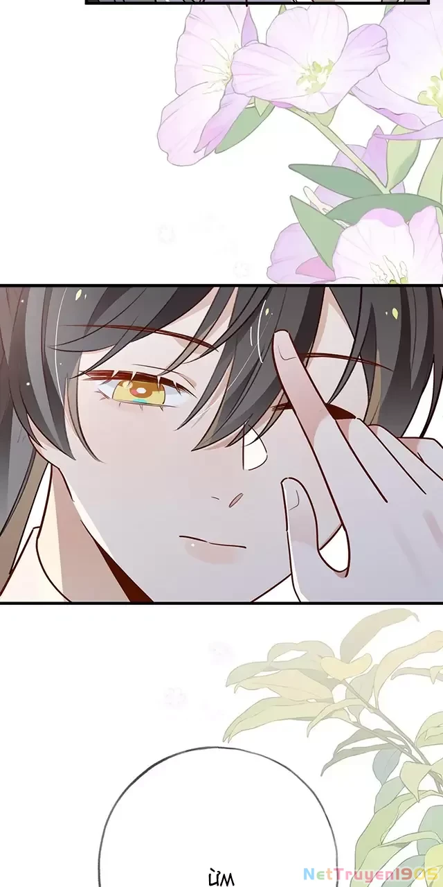 Bạch Nguyệt Quang Luôn Muốn Độc Chiếm Tôi Chapter 92 - 19