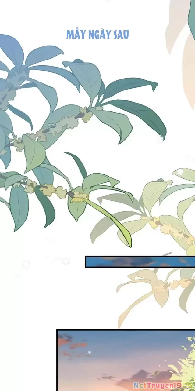 Bạch Nguyệt Quang Luôn Muốn Độc Chiếm Tôi Chapter 93 - 22