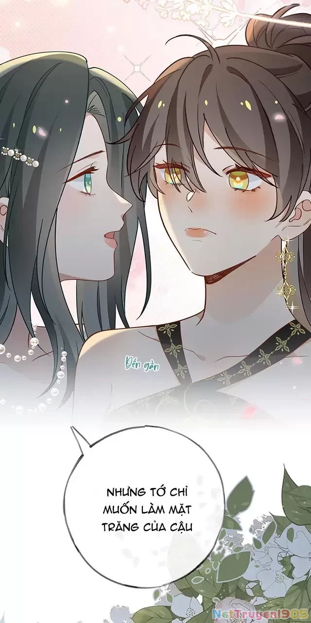 Bạch Nguyệt Quang Luôn Muốn Độc Chiếm Tôi Chapter 95 - 11