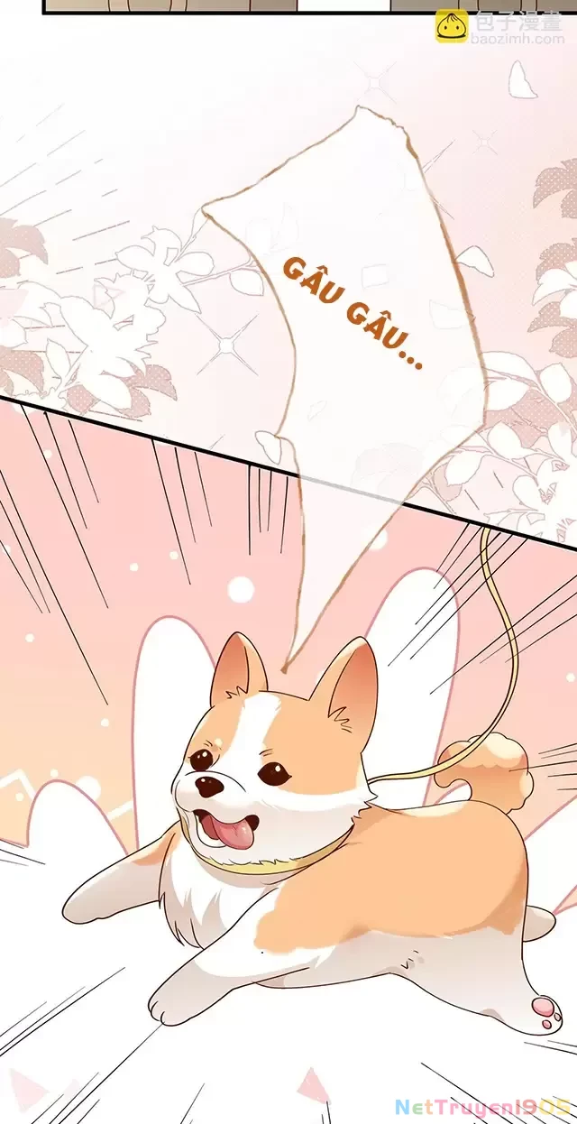 Bạch Nguyệt Quang Luôn Muốn Độc Chiếm Tôi Chapter 97 - 19