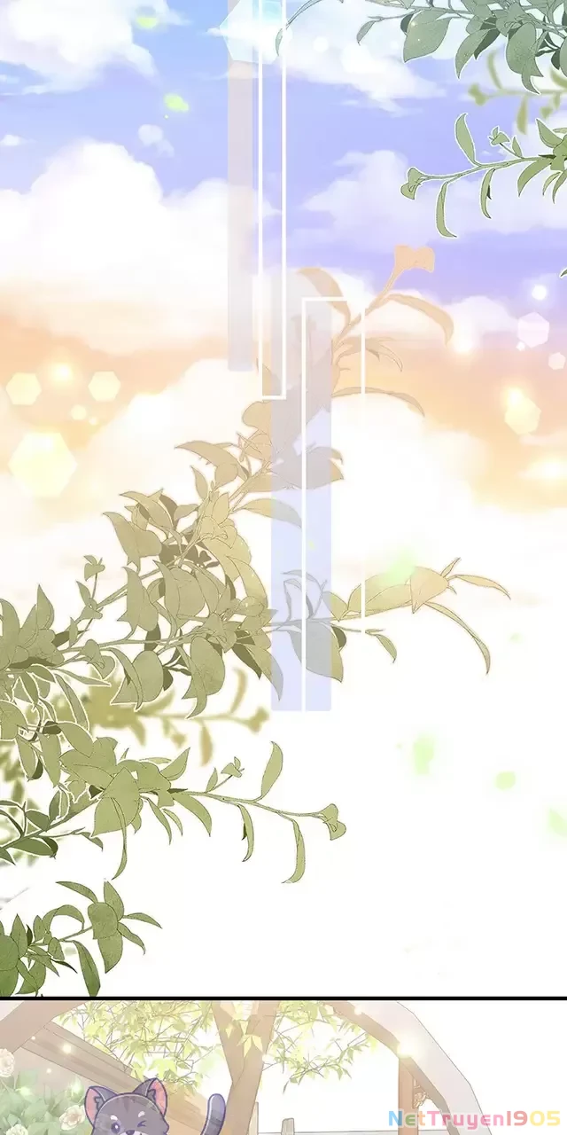 Bạch Nguyệt Quang Luôn Muốn Độc Chiếm Tôi Chapter 97 - 48