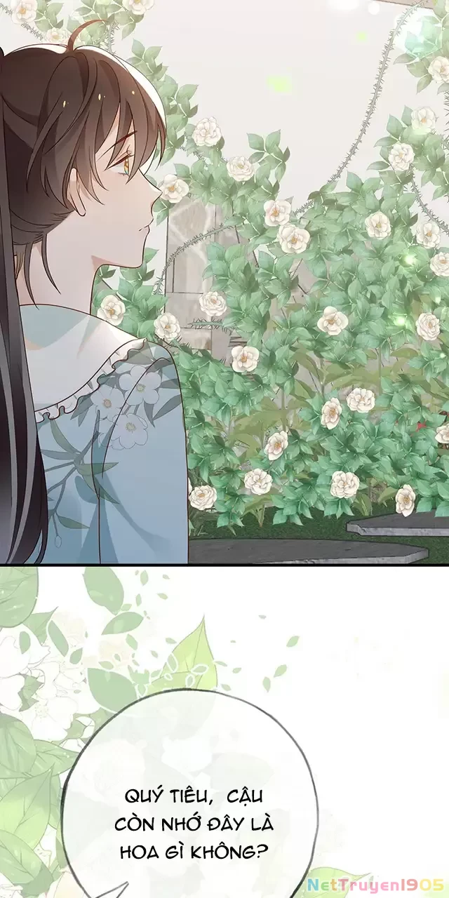 Bạch Nguyệt Quang Luôn Muốn Độc Chiếm Tôi Chapter 97 - 50