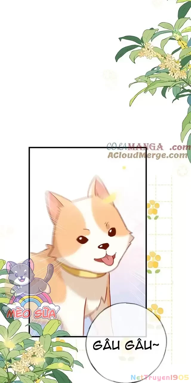 Bạch Nguyệt Quang Luôn Muốn Độc Chiếm Tôi Chapter 98 - 31