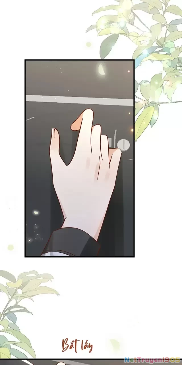 Bạch Nguyệt Quang Luôn Muốn Độc Chiếm Tôi Chapter 100 - 33