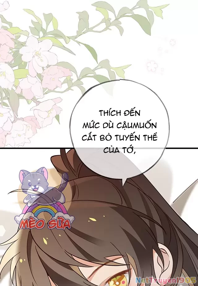 Bạch Nguyệt Quang Luôn Muốn Độc Chiếm Tôi Chapter 105 - 20