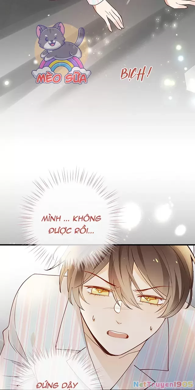Bạch Nguyệt Quang Luôn Muốn Độc Chiếm Tôi Chapter 110 - 17