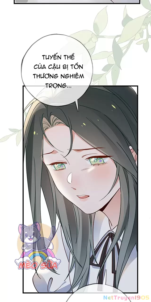 Bạch Nguyệt Quang Luôn Muốn Độc Chiếm Tôi Chapter 110 - 31