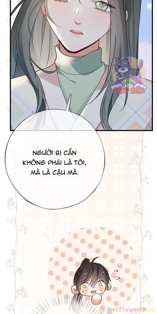 Bạch Nguyệt Quang Luôn Muốn Độc Chiếm Tôi Chapter 113 - 11