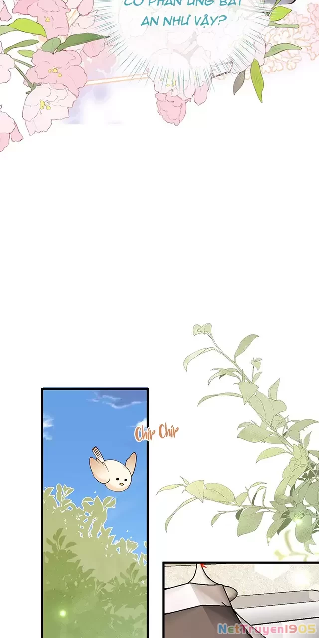 Bạch Nguyệt Quang Luôn Muốn Độc Chiếm Tôi Chapter 113 - 27
