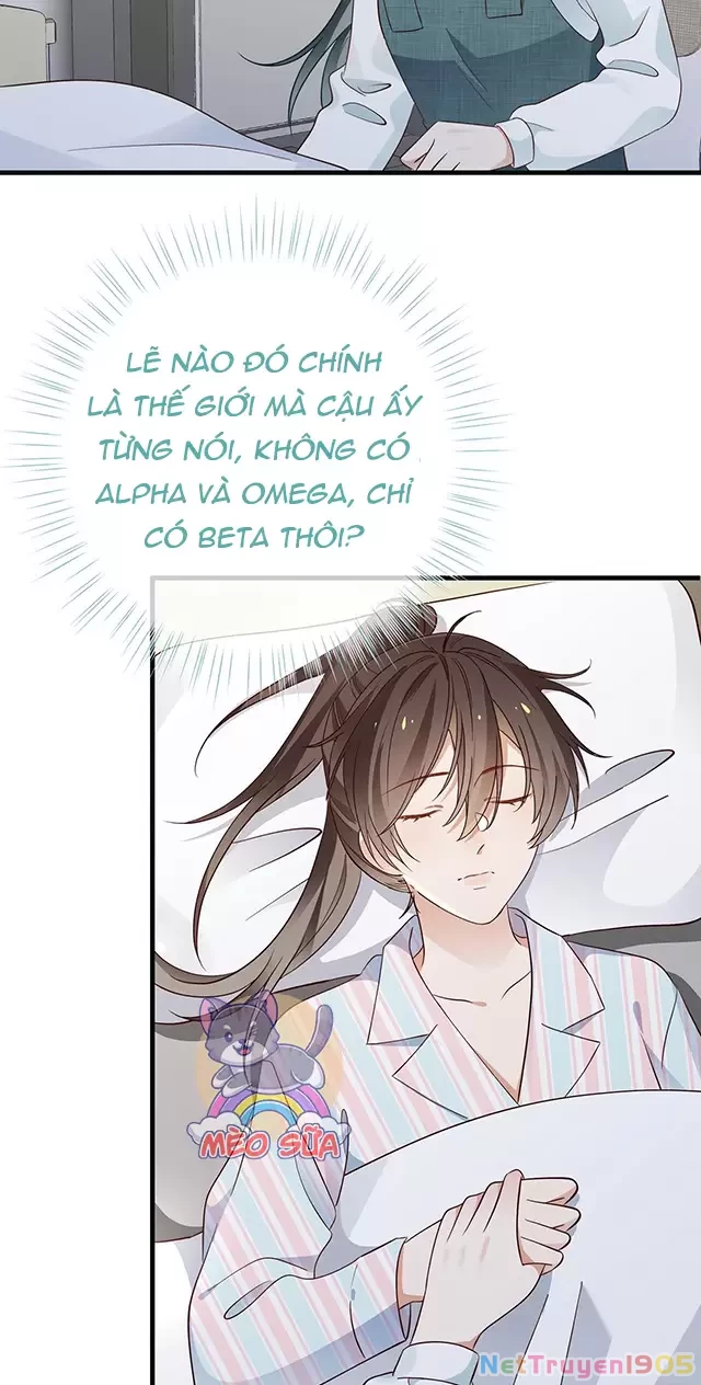 Bạch Nguyệt Quang Luôn Muốn Độc Chiếm Tôi Chapter 114 - 20