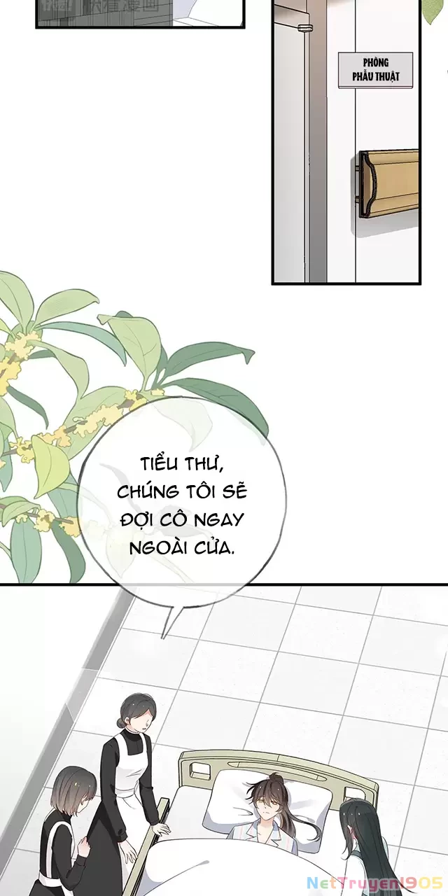 Bạch Nguyệt Quang Luôn Muốn Độc Chiếm Tôi Chapter 115 - 4