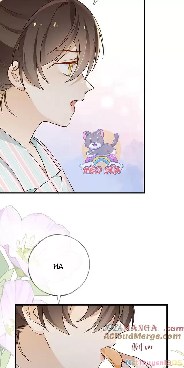 Bạch Nguyệt Quang Luôn Muốn Độc Chiếm Tôi Chapter 116 - 24