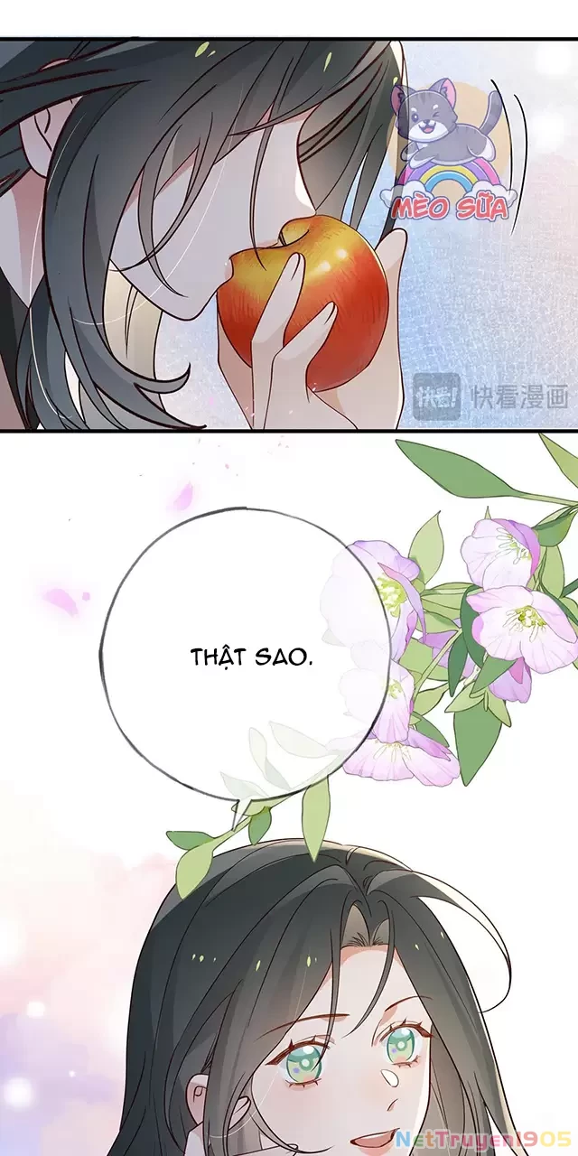 Bạch Nguyệt Quang Luôn Muốn Độc Chiếm Tôi Chapter 119 - 31
