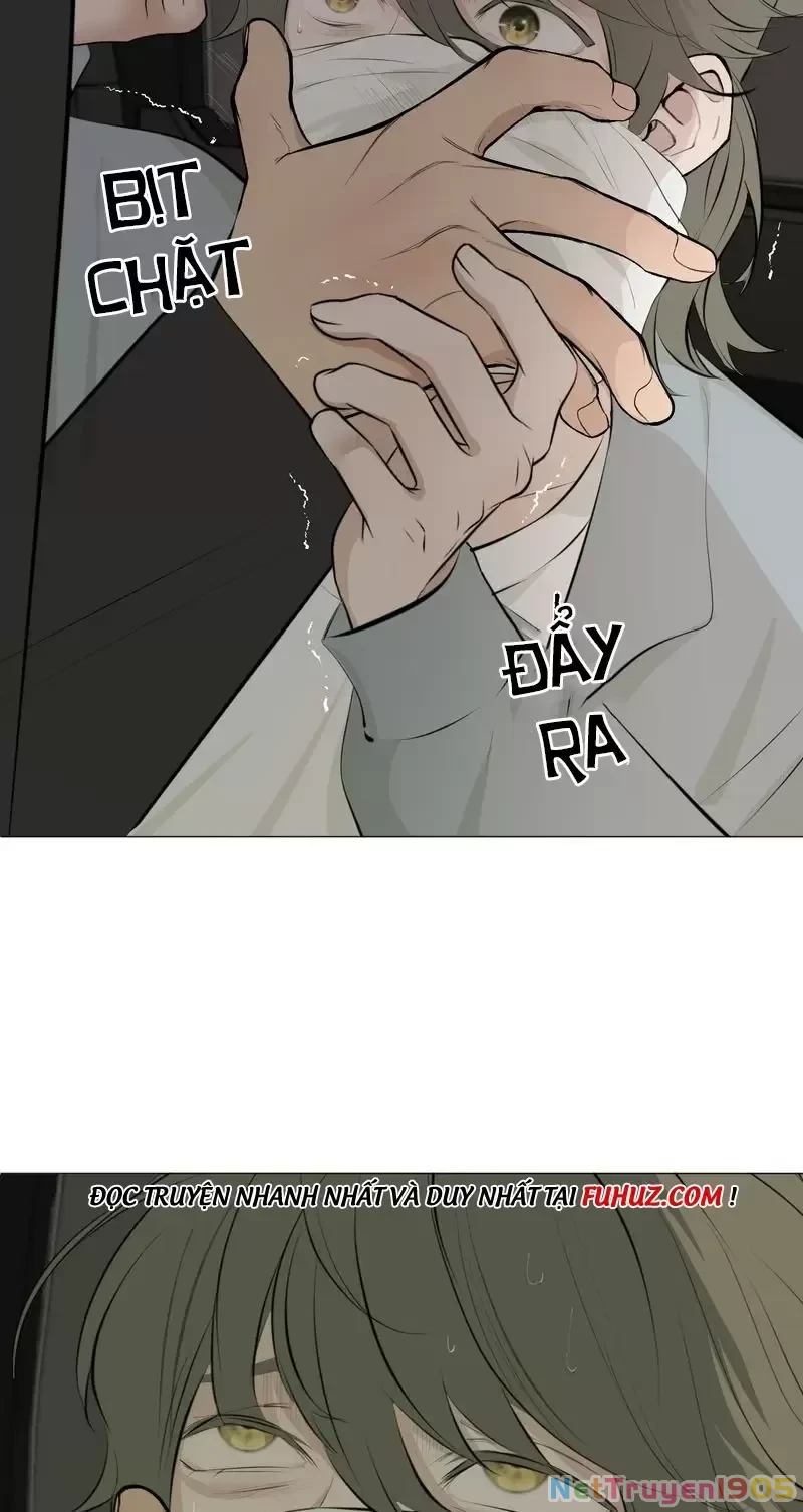 Thao Túng Trái Tim Em Chapter 40 - 47