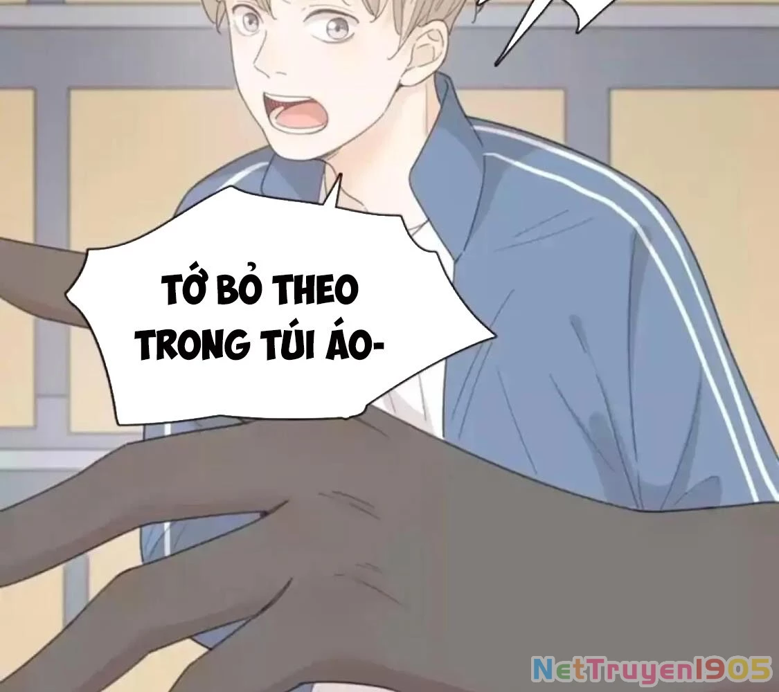 Giờ nay cô ấy cũng rất dễ thương Chapter 37 - 40