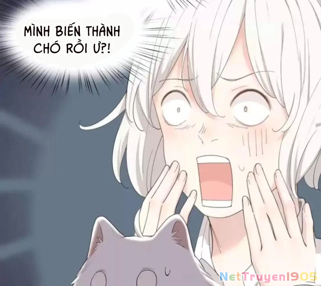 Giờ nay cô ấy cũng rất dễ thương Chapter 40 - 6