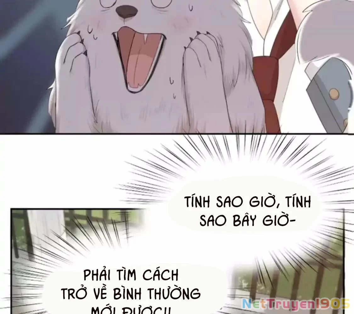 Giờ nay cô ấy cũng rất dễ thương Chapter 40 - 7