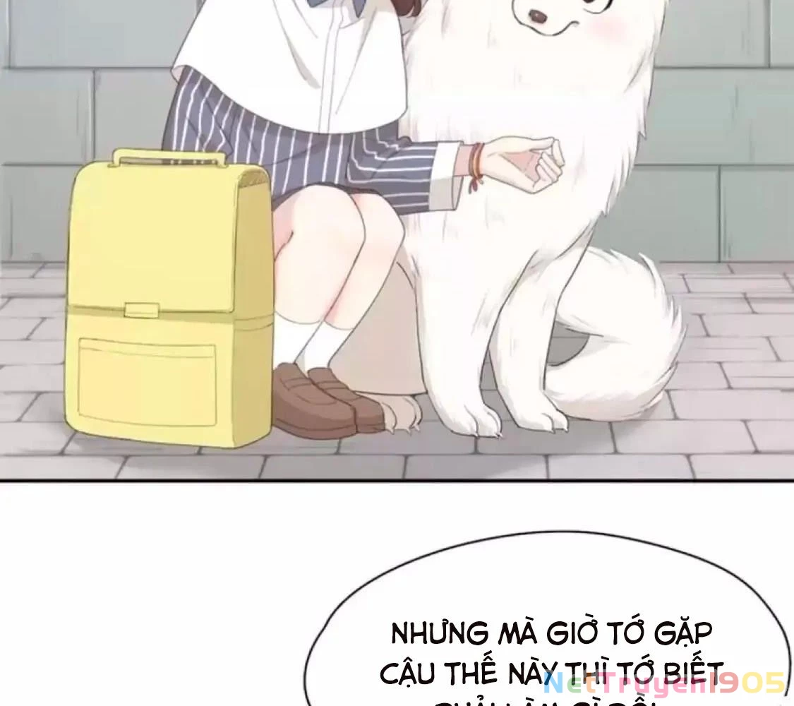 Giờ nay cô ấy cũng rất dễ thương Chapter 40 - 42