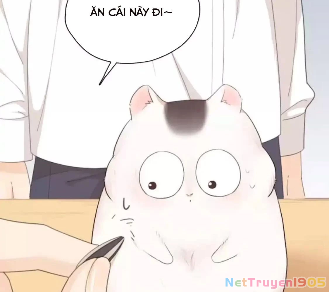 Giờ nay cô ấy cũng rất dễ thương Chapter 40 - 58