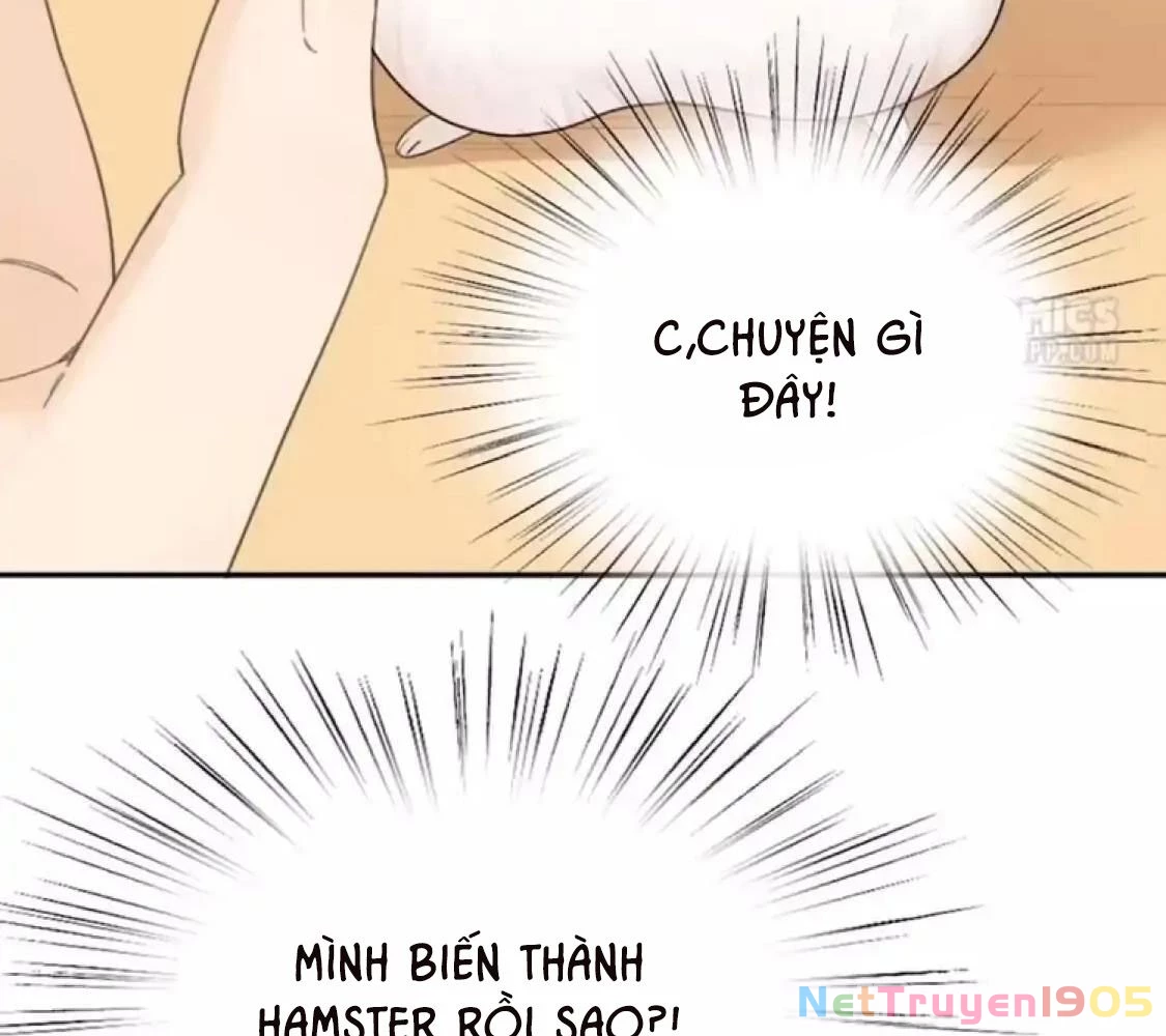 Giờ nay cô ấy cũng rất dễ thương Chapter 40 - 59