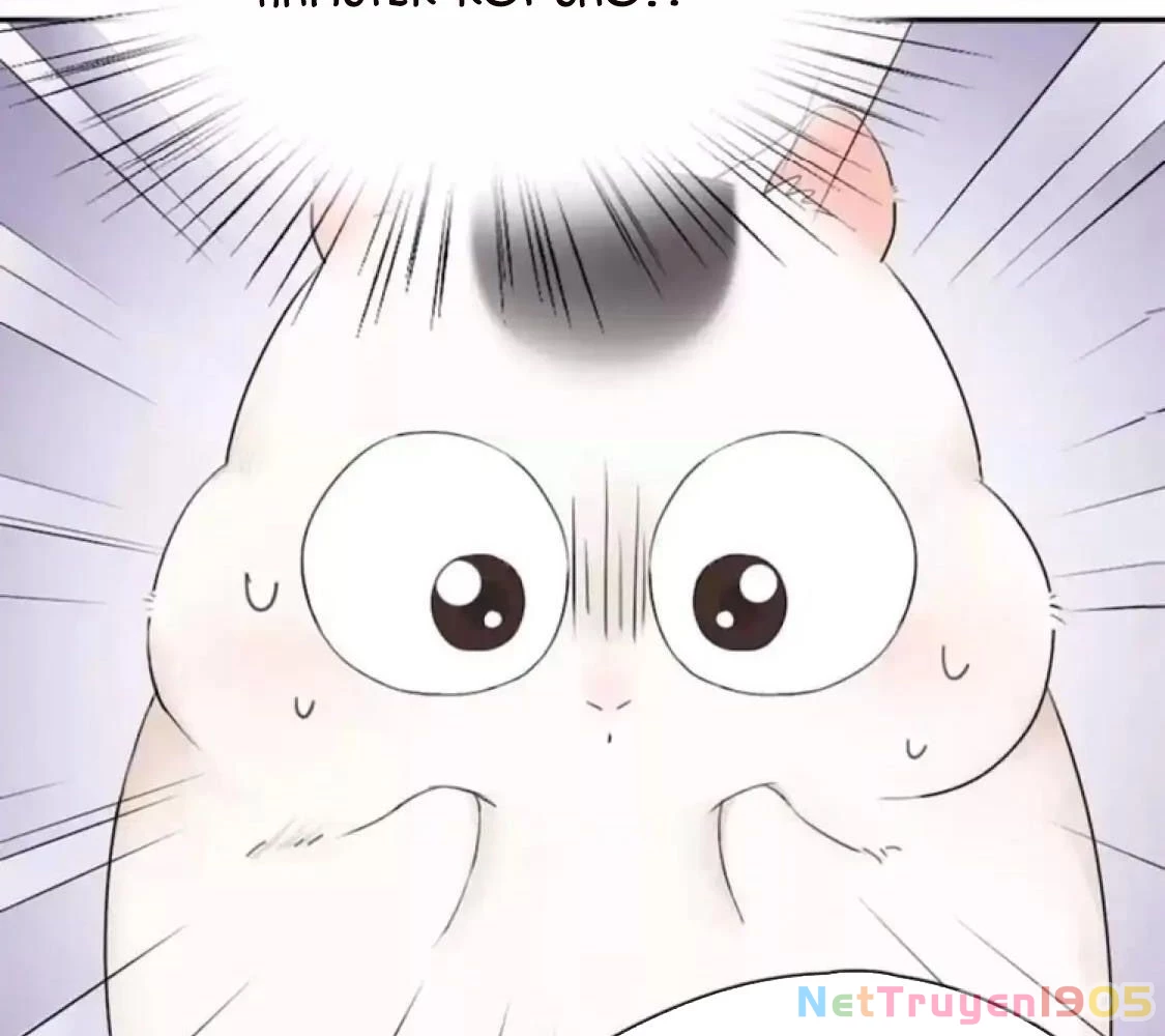 Giờ nay cô ấy cũng rất dễ thương Chapter 40 - 60