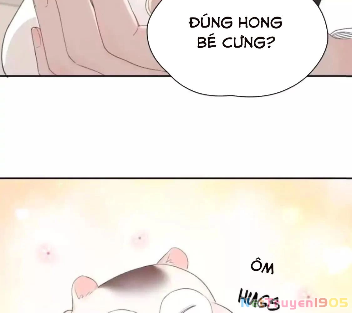 Giờ nay cô ấy cũng rất dễ thương Chapter 40 - 74