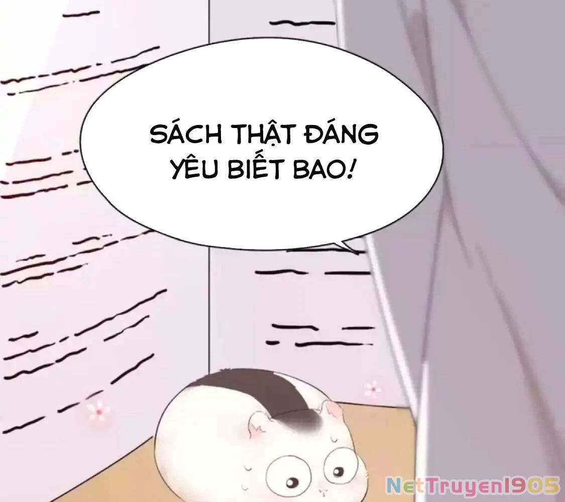 Giờ nay cô ấy cũng rất dễ thương Chapter 40 - 95
