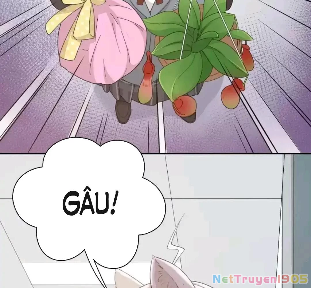 Giờ nay cô ấy cũng rất dễ thương Chapter 43 - 65