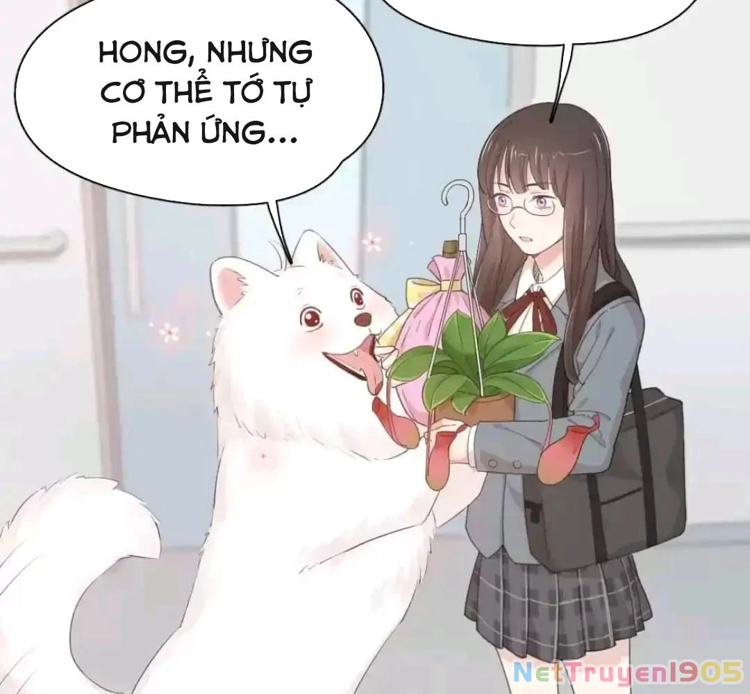 Giờ nay cô ấy cũng rất dễ thương Chapter 43 - 68