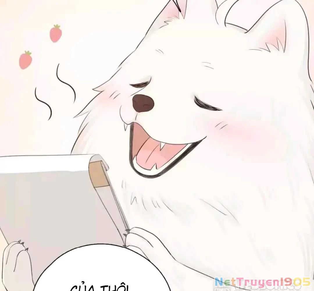 Giờ nay cô ấy cũng rất dễ thương Chapter 51 - 55