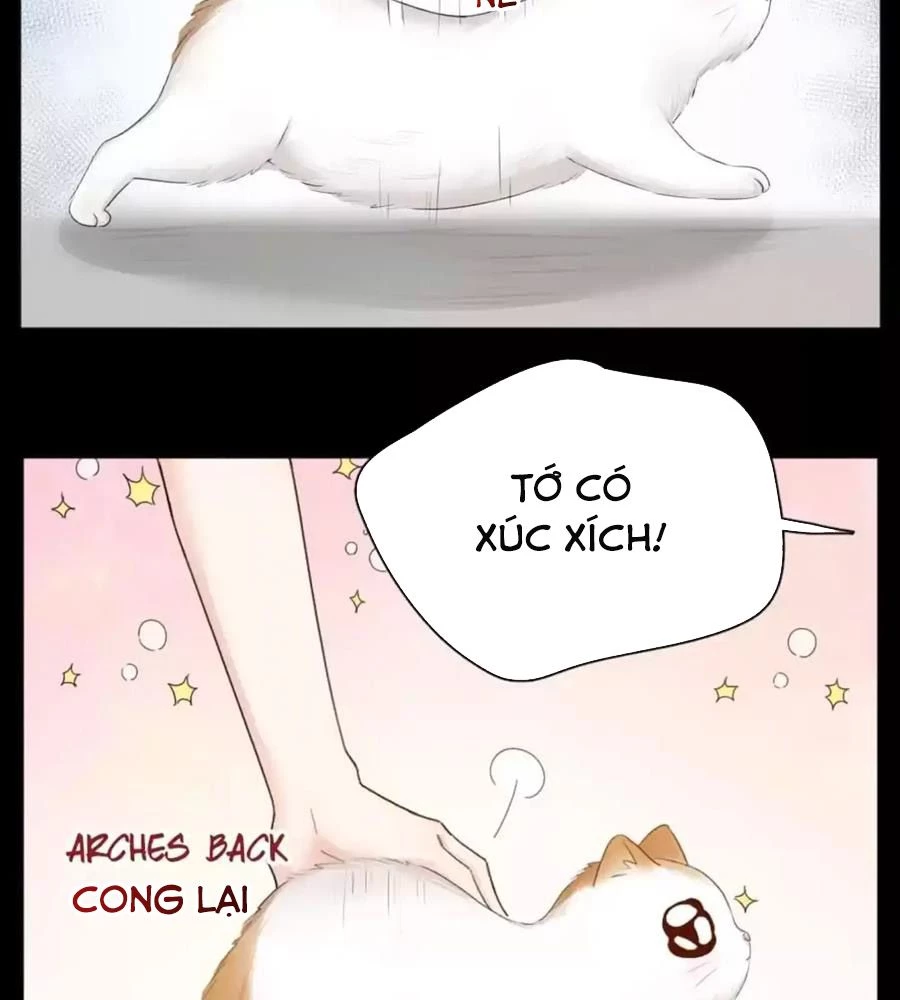 Giờ nay cô ấy cũng rất dễ thương Chapter 61 - 5