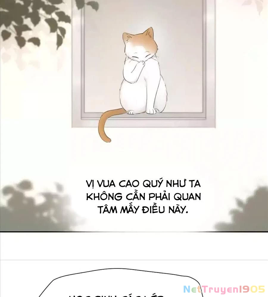 Giờ nay cô ấy cũng rất dễ thương Chapter 61 - 17