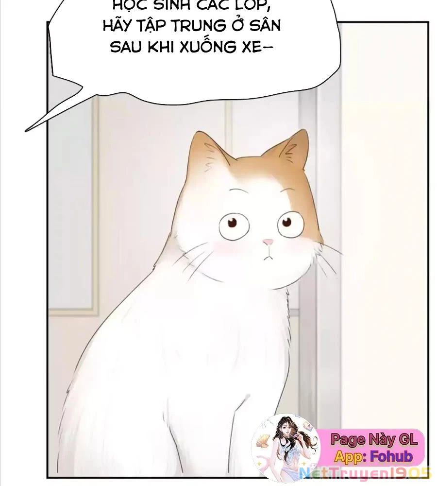Giờ nay cô ấy cũng rất dễ thương Chapter 61 - 18
