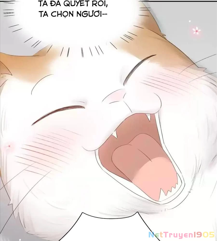 Giờ nay cô ấy cũng rất dễ thương Chapter 61 - 26