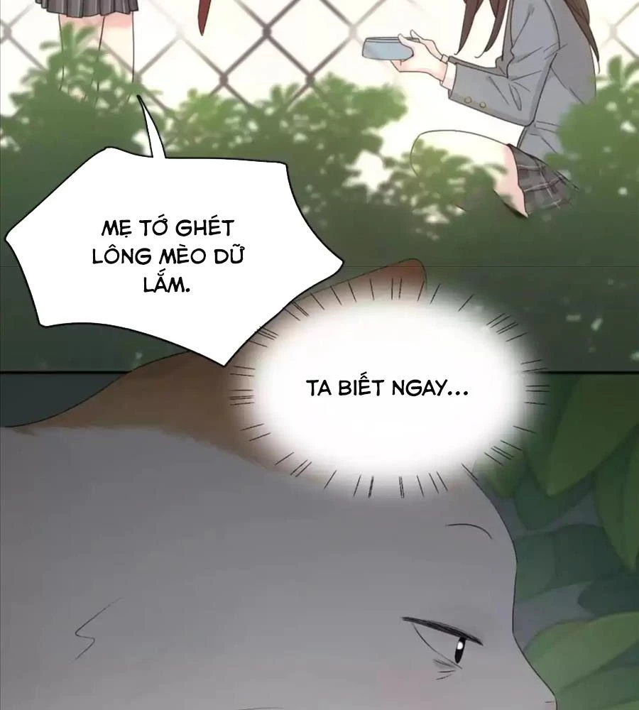 Giờ nay cô ấy cũng rất dễ thương Chapter 61 - 48