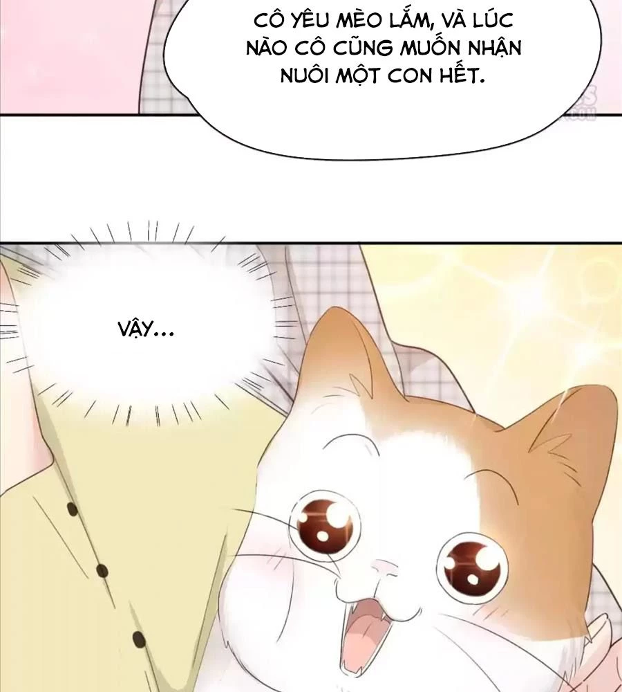 Giờ nay cô ấy cũng rất dễ thương Chapter 61 - 66