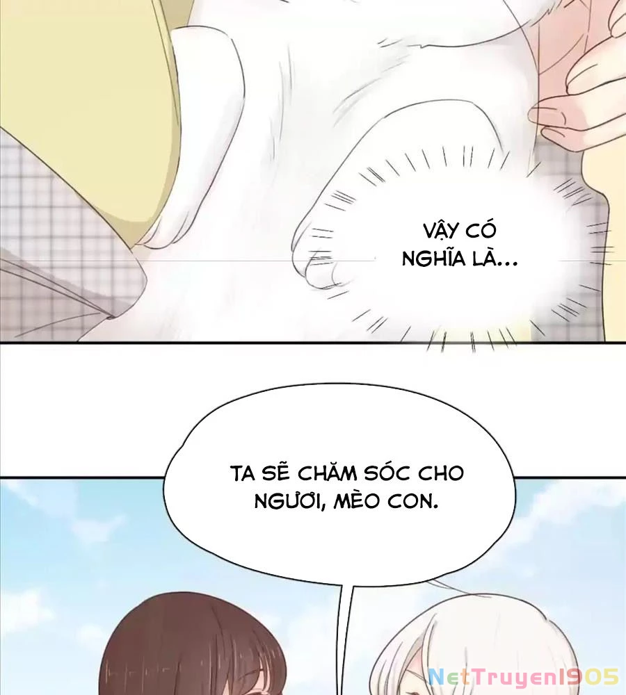 Giờ nay cô ấy cũng rất dễ thương Chapter 61 - 67